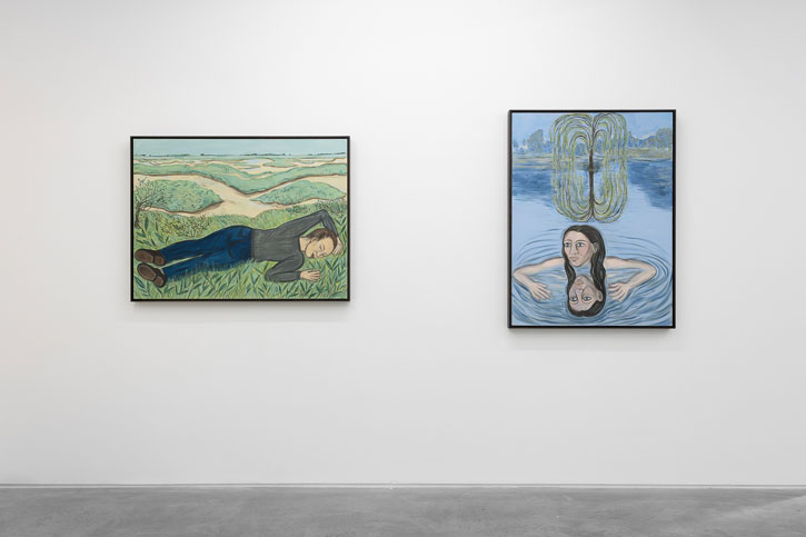 Installation view of 'Daylight' and 'The Wild Place'