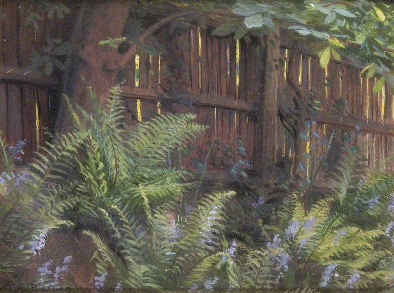 Bluebells and Ferns