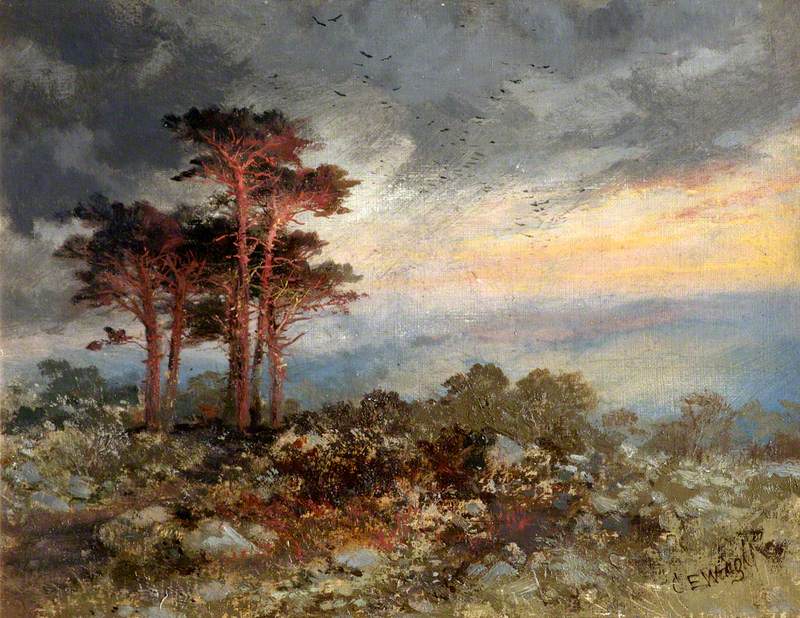 Study of Pines, Worlebury Woods